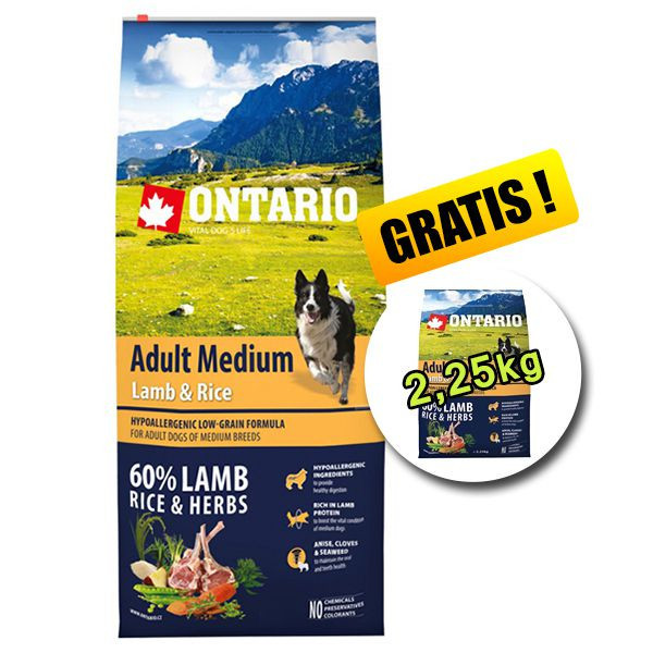 ONTARIO Adult Medium Lamb &amp;amp; Rice 12kg + 2,25kg GRATUIT