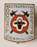 INSIGNA RESTAURANTUL CODRUL COSMINULUI BUCURESTI ALIMENTATIE HERALDICA ( CITITI DESCRIEREA )