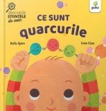 Cumpara ieftin Ce sunt quarcurile/Ruth Spiro, Irene Chan