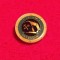 Insigna minerit - I.R.I.U.M. PETROSANI