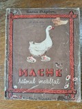 Mache ratoiul incaltat - Sidonia Dragusanu, 1952, rara / R6P3F
