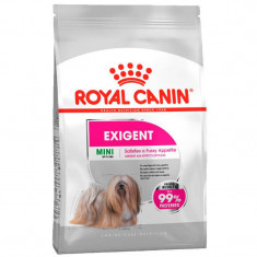 Hrana uscata pentru caini Royal Canin, CCN Mini Exigent, 3 Kg foto