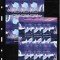 ROMANIA 2009 - PROTEJATI FAUNA POLARA, MINICOLI, MNH - LP 1829c