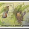 Grenadine 1985 - Expo Internațională de Timbre Genova &#039;92 - Colibri, Colita, MNH