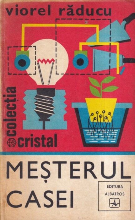 Viorel Raducu - Mesterul casei