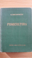 Pomicultura- N.Constantinescu foto