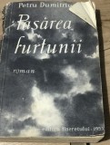 LITR5 Literatura. - Pasarea furtunii - Roman - Petru Dumitriu