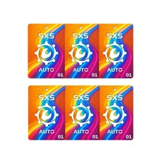 Pachet 6 x Odorizant auto bradut SXS01