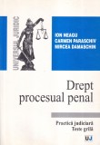 Ion Neagu, Carmen Paraschiv, Mircea Damaschin - Drept procesual penal. Practica