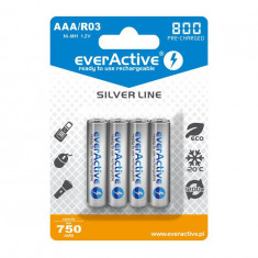 R03 AAA 800mAh Rechargeables everActive Silver Line-Conținutul pachetului 1x Blister