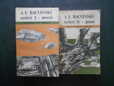 A. E. BACONSKY - SCRIERI 1 POEZII, SCRIERI 2 PROZE foto