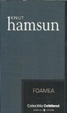 Foamea - Knut Hamsun