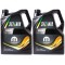 Pachet 10 litri Ulei motor Selenia WR 5W40