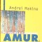 PE VREMEA FLUVIULUI AMUR-ANDREI MAKINE-274786
