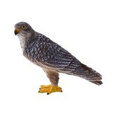 Figurina Mojo, Soim Calator