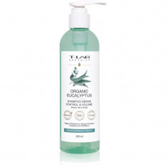 T-LAB Organics Eucalyptus Sebum Control & Volume Shampoo șampon pentru scalp gras cu efect calmant 250 ml