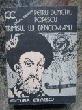 TRIMISUL LUI BRANCOVEANU-PETRU DEMETRU POPESCU