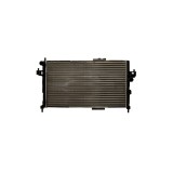 Radiator Motor 555668 32539