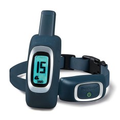 Zgarda PetSafe Standard 900 m foto