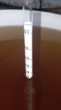 Vand distilat de vin 50 grade invechit 1 an in butoi de stejar