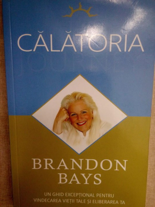 Brandon Bays - Calatoria (editia 2009)