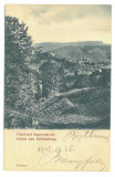 5001 - SIGHISOARA, Mures, Romania - old postcard - used - 1905, Necirculata, Printata