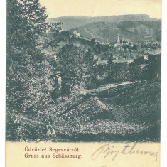 5001 - SIGHISOARA, Mures, Romania - old postcard - used - 1905