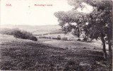 AMS# - ILUSTRATA/VEDERE ZALAU, ZILAH - MESZESHEGYI RESZLET 1913, CIRCULATA