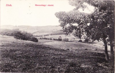 AMS# - ILUSTRATA/VEDERE ZALAU, ZILAH - MESZESHEGYI RESZLET 1913, CIRCULATA foto