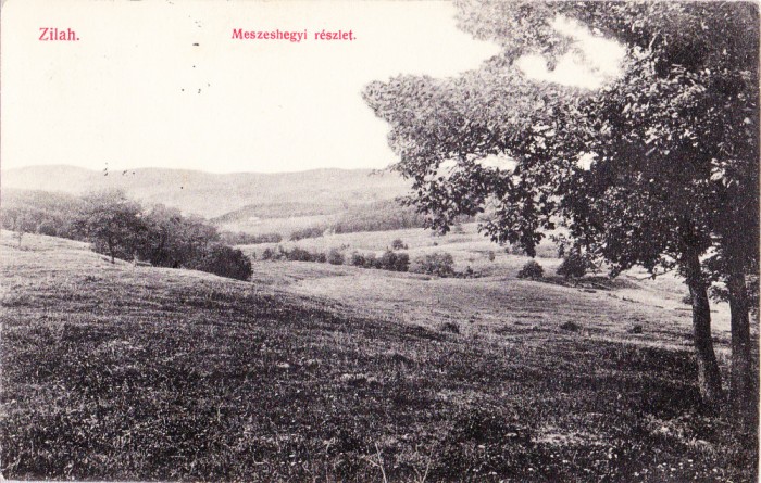AMS# - ILUSTRATA/VEDERE ZALAU, ZILAH - MESZESHEGYI RESZLET 1913, CIRCULATA