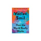 How the World Really Works: The Science Behind How We Got Here and Where We're Going