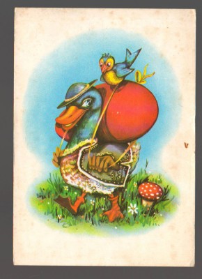 CPIB 20012 CARTE POSTALA - FELICITARE - RATOI CU OU SI BOBOC IN SPATE foto