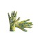 Manusi bumbac-pes-latex, gradina "lizy" - 10, DSH 210402