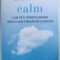 CALM - CUM SA - TI GASESTI LINISTEA INTR - O LUME STRESANTA SI AGITATA de GAYATRI DEVI , 2018