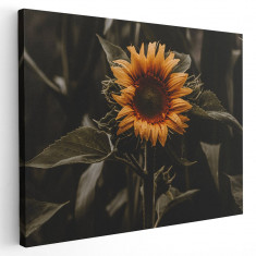 Tablou floarea soarelui Tablou canvas pe panza CU RAMA 30x40 cm
