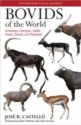 Bovids of the World: Antelopes, Gazelles, Cattle, Goats, Sheep, and Relatives foto