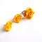 set fimo cadou femei 33679