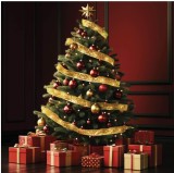 Acasă RLS15WW Bandă LED cu modele