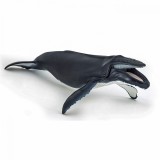 Figurina - Marine Life - Humpback Whale | Papo