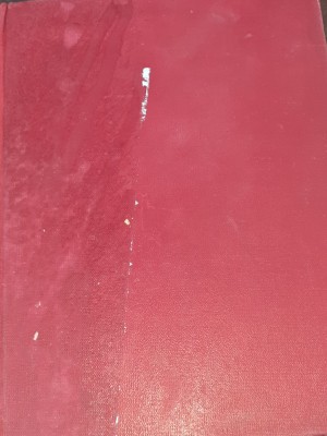 OMUL FARA NUME VICTOR EFTIMIU foto