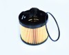 Filtru Combustibil 53557 NGH 03.03.049