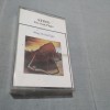 CASETA AUDIO STING-THE SOUL CAGES DE TARABA