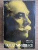 Mihai Gafita - Duiliu Zamfirescu