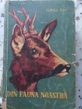 DIN FAUNA NOASTRA-IONEL POP-353219