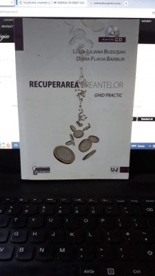 Recuperarea Creantelor Ghid Practic - Luiza Iuliana Budusan , Diana Flavia Barbur (CONTINE CD) foto