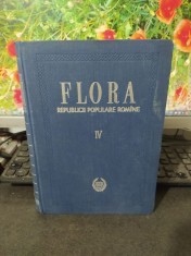 Flora Republicii Populare Rom&icirc;ne Rom&acirc;ne, Vol. IV 4, București 1956, 063