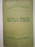 Sortarea si ambalarea fructelor si legumelor, A. Gherghi, D. Loebl C3