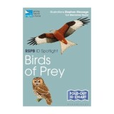 RSPB ID Spotlight - Birds of Prey