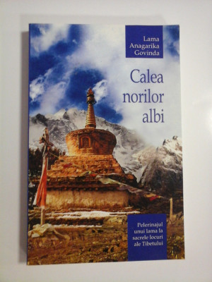 CALEA NORILOR ALBI - LAMA ANAGARIKA GOVINDA foto