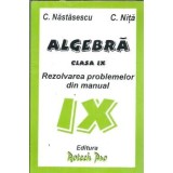 Algebra. Rezolvarea problemelor din manual - Clasa IX - C. Nastasescu, C. Nita